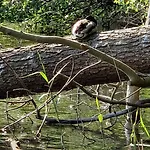 Zweite Reihe Flair * Krakow am See